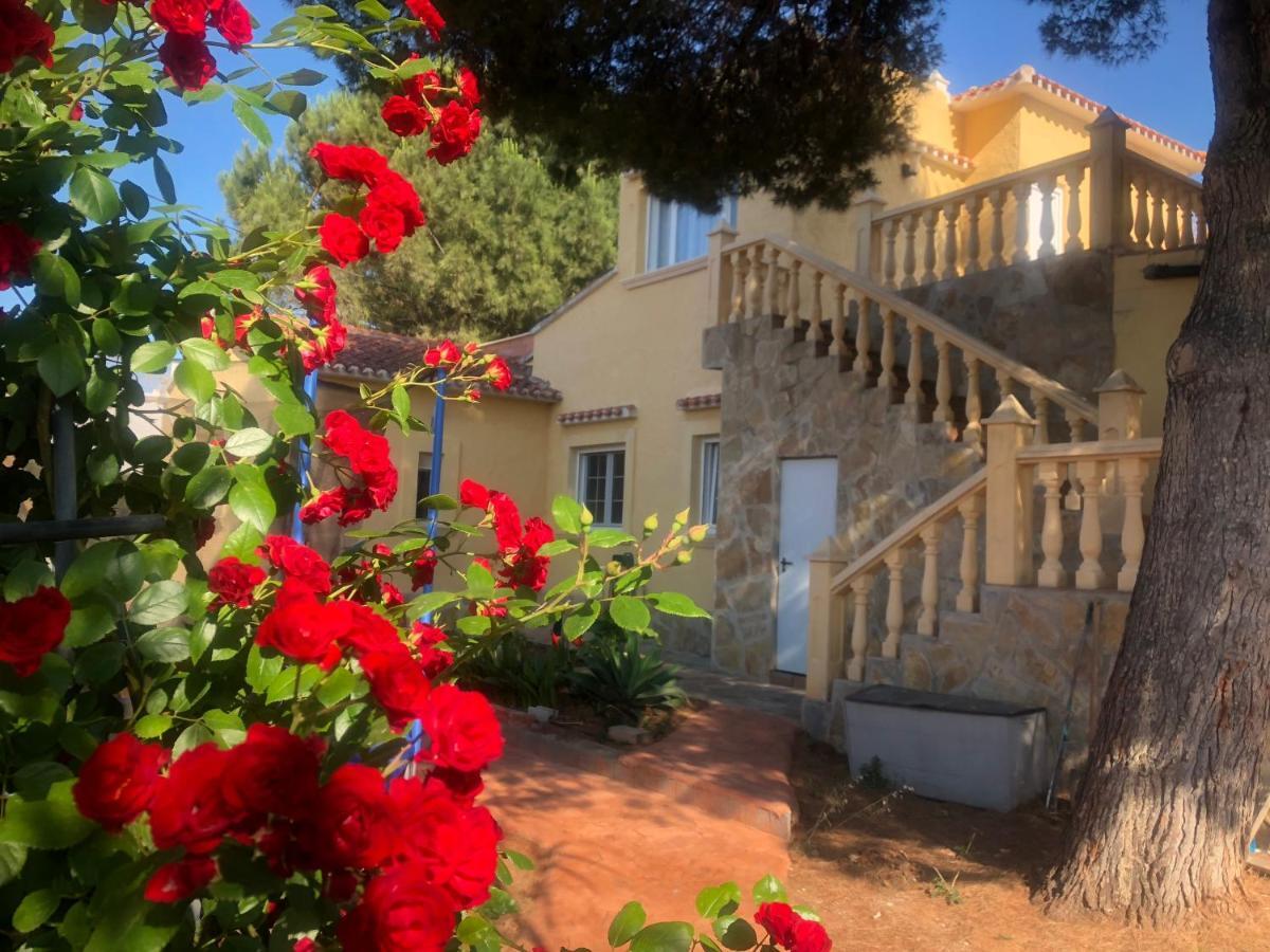 Villa Eliza Denia Luaran gambar